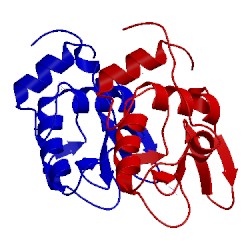 Image of CATH 1lj4