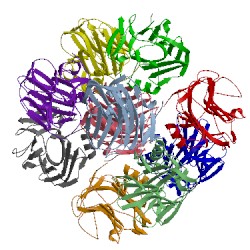 Image of CATH 1lj7