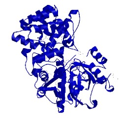 Image of CATH 1lj8