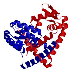 Image of CATH 1lj9