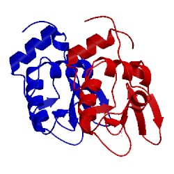 Image of CATH 1ljj