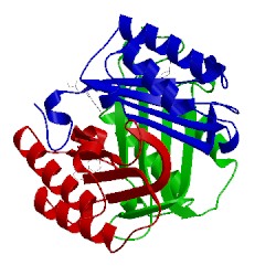 Image of CATH 1ljt