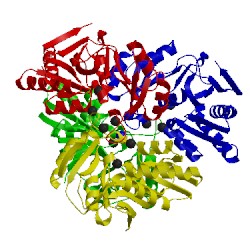 Image of CATH 1lk5