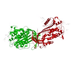 Image of CATH 1lk6