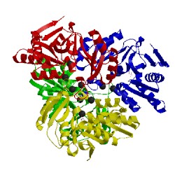 Image of CATH 1lk7