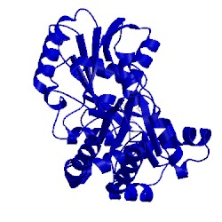 Image of CATH 1lkc