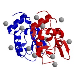 Image of CATH 1lkr