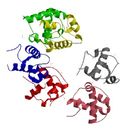 Image of CATH 1lky