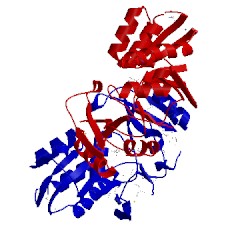 Image of CATH 1lkz