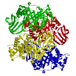 Image of CATH 1ll4