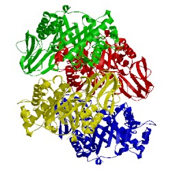 Image of CATH 1ll6