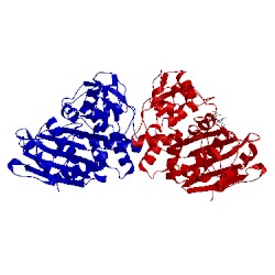 Image of CATH 1llb