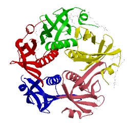 Image of CATH 1llr