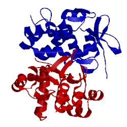 Image of CATH 1lm5