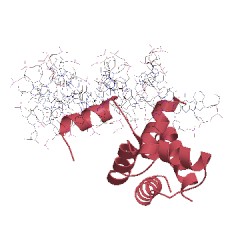 Image of CATH 1lmb