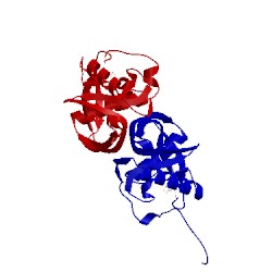 Image of CATH 1lme