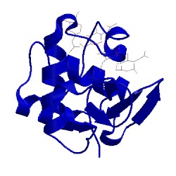 Image of CATH 1lmq