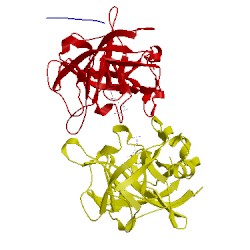 Image of CATH 1lmw