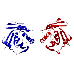 Image of CATH 1ln2