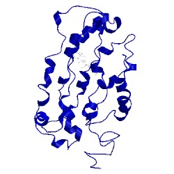 Image of CATH 1ln6