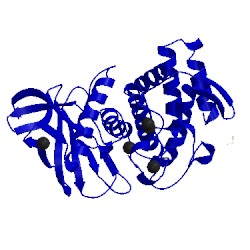 Image of CATH 1lna