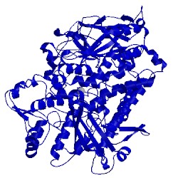 Image of CATH 1lnh