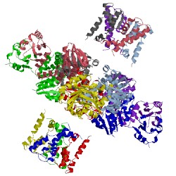 Image of CATH 1lnq