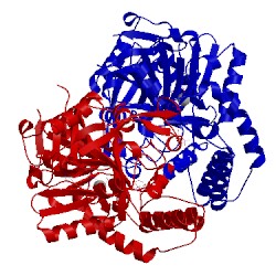 Image of CATH 1lny