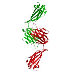 Image of CATH 1lo2