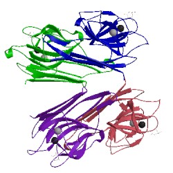 Image of CATH 1lob