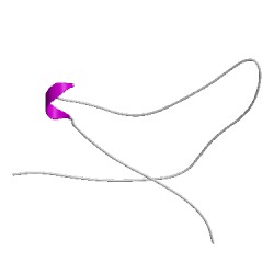 Image of CATH 1lobB00