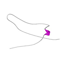 Image of CATH 1lobD00