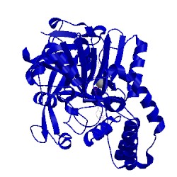 Image of CATH 1lon