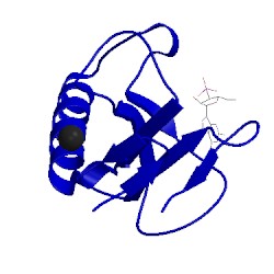Image of CATH 1loy