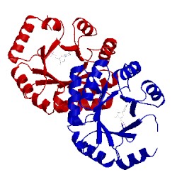 Image of CATH 1lp6