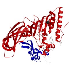 Image of CATH 1lpb