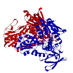 Image of CATH 1lpf