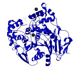 Image of CATH 1lpo