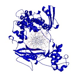 Image of CATH 1lpq