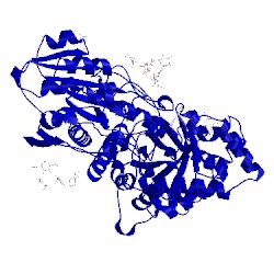 Image of CATH 1lq2