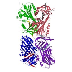 Image of CATH 1lq8