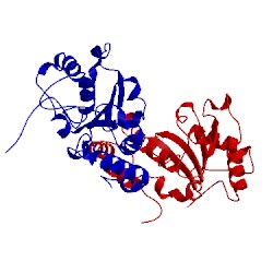 Image of CATH 1lqg