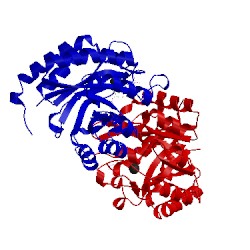 Image of CATH 1lrq