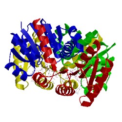 Image of CATH 1lss