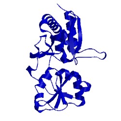 Image of CATH 1lst