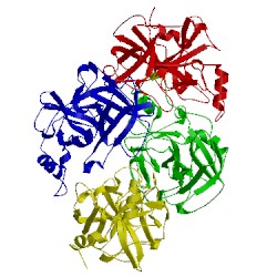 Image of CATH 1lto