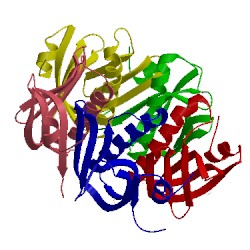 Image of CATH 1ltr