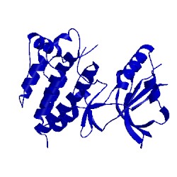 Image of CATH 1luf