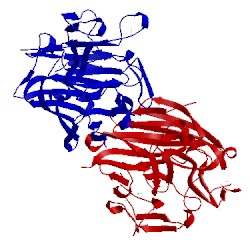 Image of CATH 1lur
