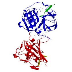 Image of CATH 1lvb